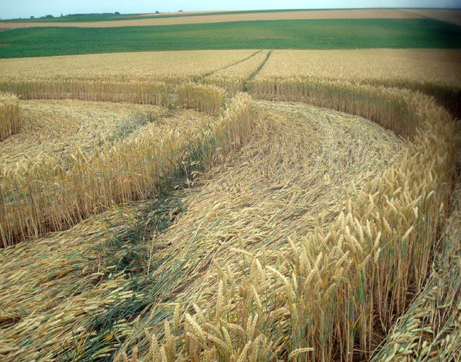 Crop Circle atMomalle, Belgium crop circle, aerial photo 3