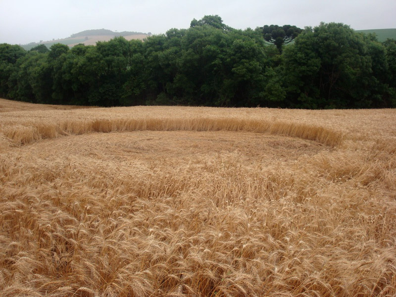 Ipuacu, Santa Catarin, Brazil crop circle, aerial photo 5