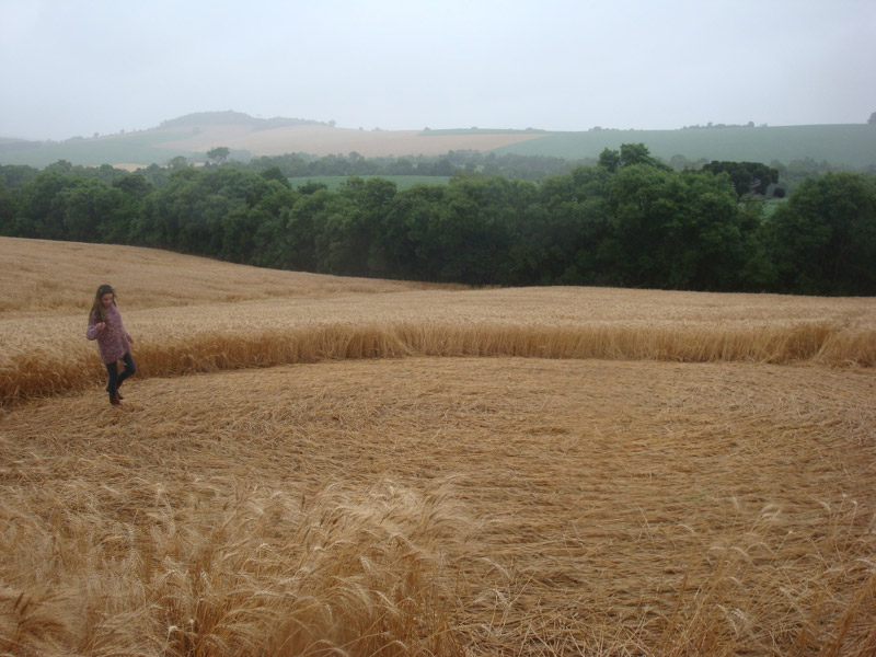 Ipuacu, Santa Catarin, Brazil crop circle, aerial photo 6