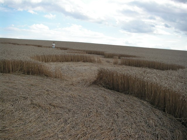 Velesovice village, Czech Republic crop circle, aerial photo 35