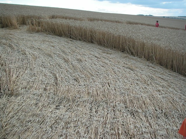 Velesovice village, Czech Republic crop circle, aerial photo 34