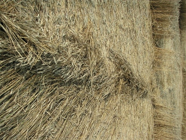 Velesovice village, Czech Republic crop circle, aerial photo 29