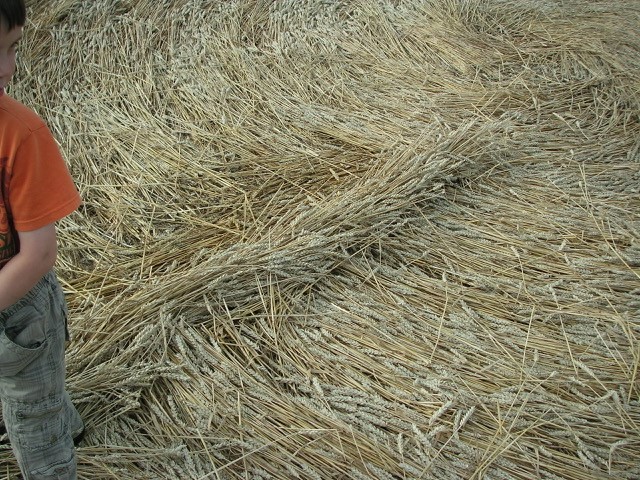 Velesovice village, Czech Republic crop circle, aerial photo 28