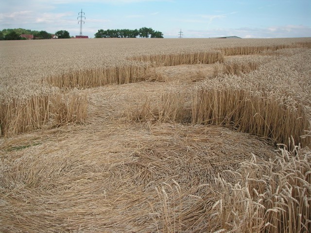 Velesovice village, Czech Republic crop circle, aerial photo 19