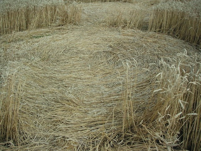 Velesovice village, Czech Republic crop circle, aerial photo 18