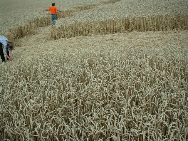 Velesovice village, Czech Republic crop circle, aerial photo 17