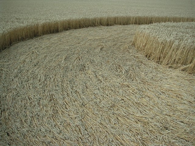 Velesovice village, Czech Republic crop circle, aerial photo 16