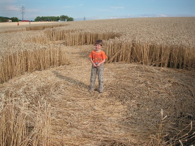 Velesovice village, Czech Republic crop circle, aerial photo 15