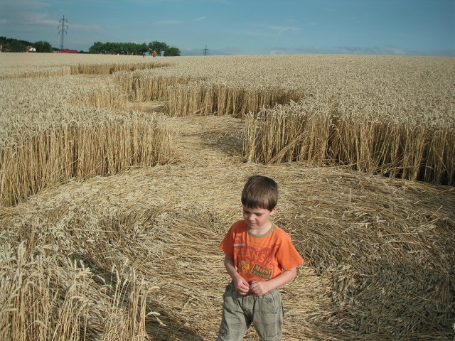 Velesovice village, Czech Republic crop circle, aerial photo 14