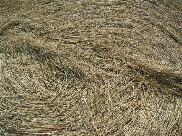 Velesovice village, Czech Republic crop circle, aerial photo 12