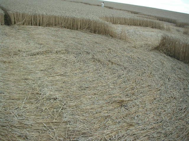 Velesovice village, Czech Republic crop circle, aerial photo 9