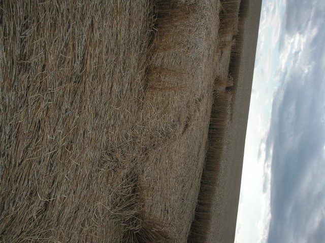 Velesovice village, Czech Republic crop circle, aerial photo 2