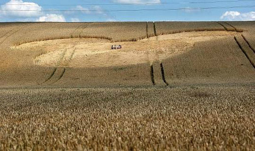NJ (this crop circle formation is crop circle, aerial photo 5