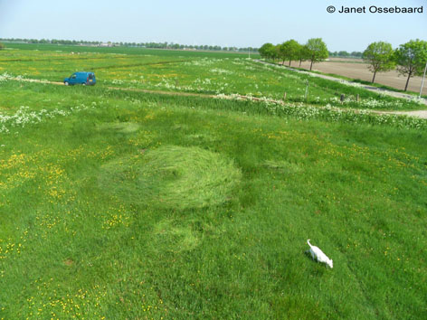 Hoeven, Netherlands crop circle, aerial photo 9