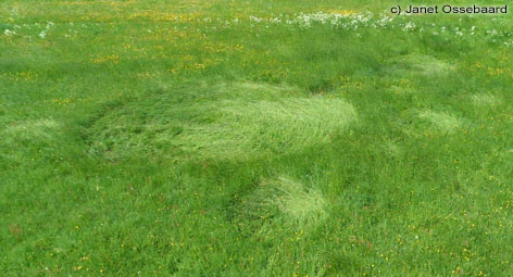 Hoeven, Netherlands crop circle, aerial photo 23