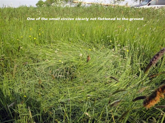 Hoeven, Netherlands crop circle, ground photo 4