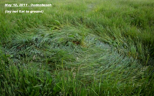 Oudenbosch, Netherlands crop circle, aerial photo 7