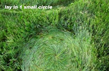 Oudenbosch, Netherlands crop circle, aerial photo 8