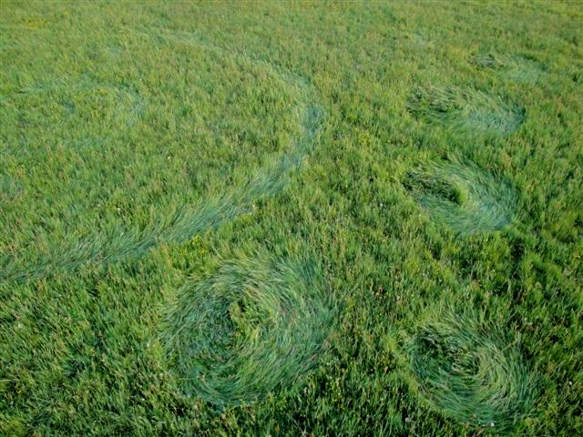 Nature Preserve, Hoeven, Netherlands crop circle, aerial photo 4
