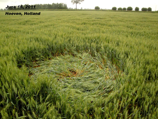 Hoeven, Netherlands crop circle, aerial photo 3