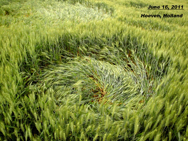 Hoeven, Netherlands crop circle, aerial photo 5