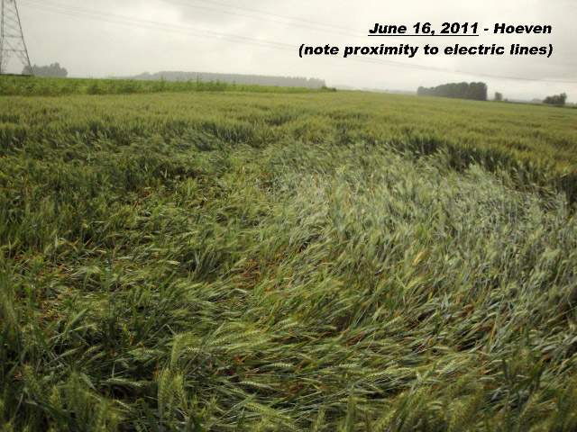 Hoeven, Netherlands crop circle, aerial photo 6