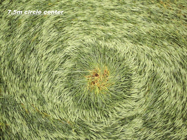 Hoeven, Netherlands crop circle, aerial photo 2