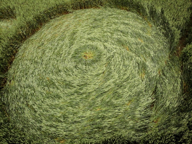 Hoeven, Netherlands crop circle, aerial photo 4