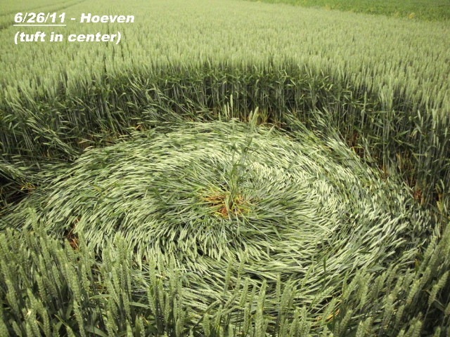 Hoeven, Netherlands crop circle, aerial photo 8
