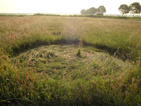 Hoeven, Netherlands crop circle, aerial photo 11