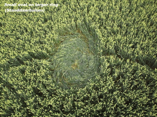Standdaarbuiten, Netherlands crop circle, aerial photo 6