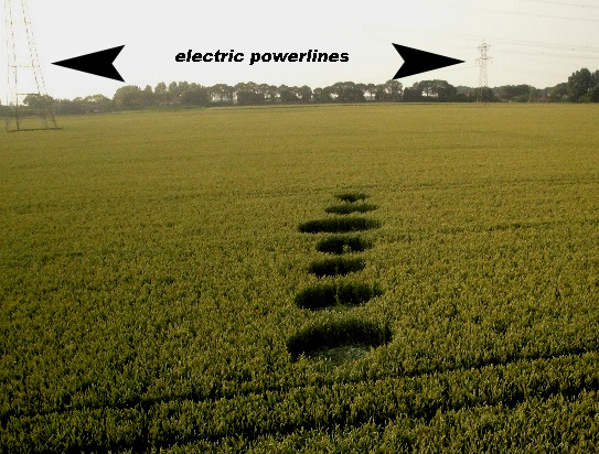 Standdaarbuiten, Netherlands crop circle, aerial photo 9