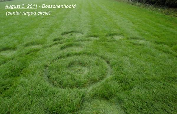 Bosschenhoofd (the "Woodenhead" area), Netherlands crop circle, aerial photo 3