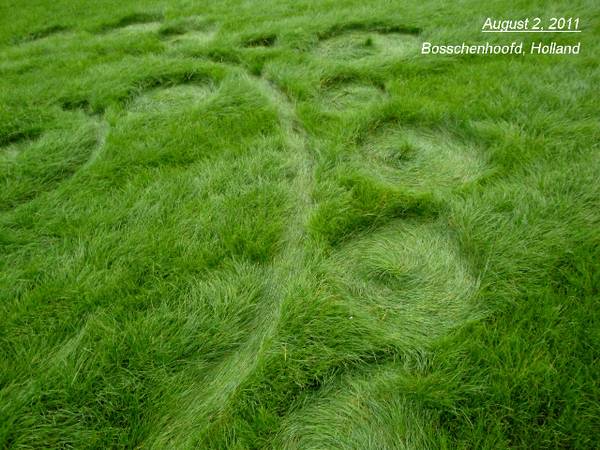 Bosschenhoofd (the "Woodenhead" area), Netherlands crop circle, aerial photo 4
