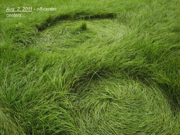 Bosschenhoofd (the "Woodenhead" area), Netherlands crop circle, aerial photo 5