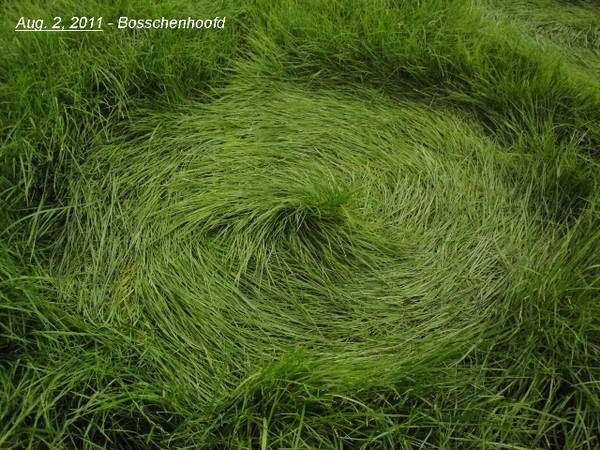 Bosschenhoofd (the "Woodenhead" area), Netherlands crop circle, aerial photo 6