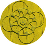 Bosschenhoofd (the "Woodenhead" area), Netherlands crop circle, aerial photo 9