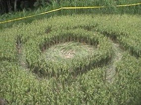 Oberschleissheim, Bayern (Bavaria), Germany crop circle, aerial photo 12