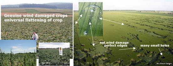 Oberschleissheim, Bayern (Bavaria), Germany crop circle, aerial photo 14