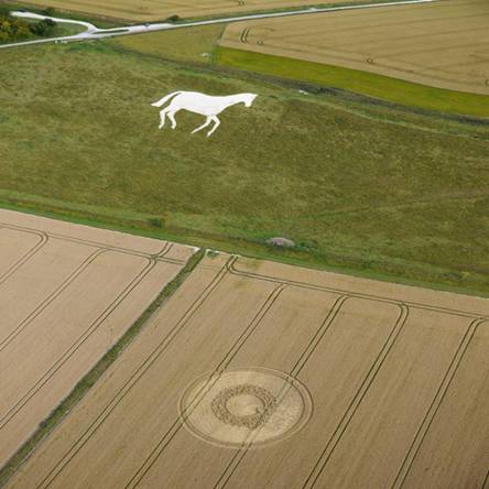 Oberschleissheim, Bayern (Bavaria), Germany crop circle, aerial photo 18
