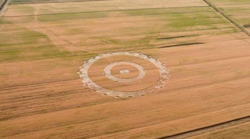 Braccagni (Grosseto), Italy crop circle, aerial photo 3