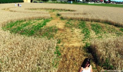 Bienate (MILANO), Italy crop circle, aerial photo 7