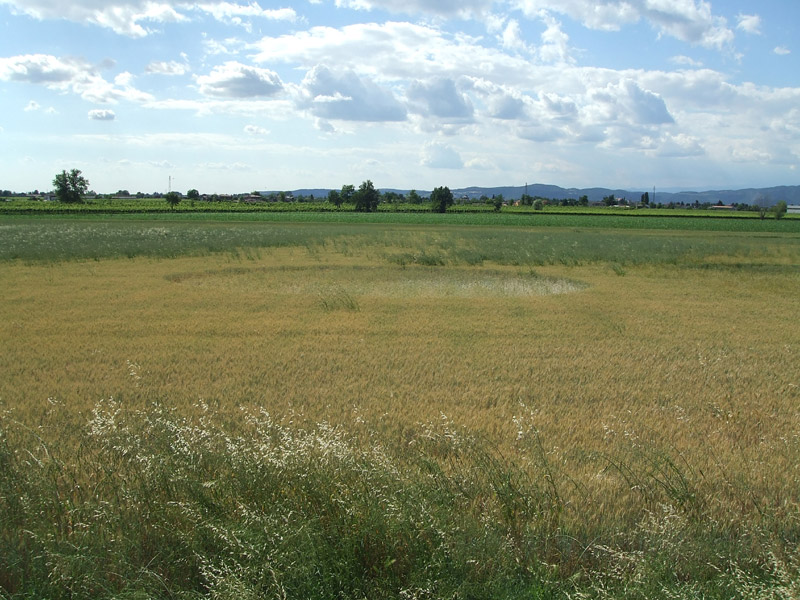 VO Euganeo, Padova, Italy crop circle, aerial photo 2