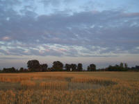 Longara (Vicenza), Italy crop circle, aerial photo 14