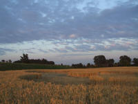 Longara (Vicenza), Italy crop circle, aerial photo 13
