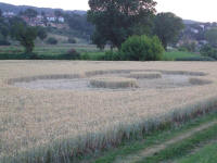 Longara (Vicenza), Italy crop circle, aerial photo 19