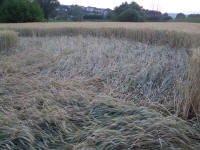 Longara (Vicenza), Italy crop circle, aerial photo 24