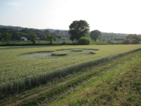 Longara (Vicenza), Italy crop circle, aerial photo 3