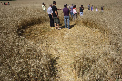 Bagnara between Veroli & Monte San Giovanni (Frosinone), Italy crop circle, aerial photo 2