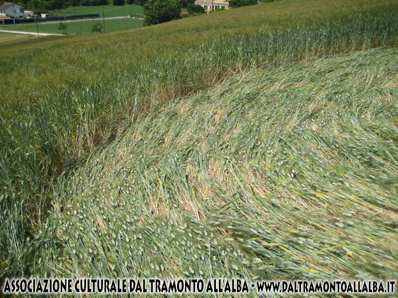 Jesi (Ancona) Marche, Italy crop circle, aerial photo 4
